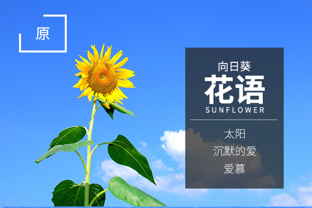 自个模特图