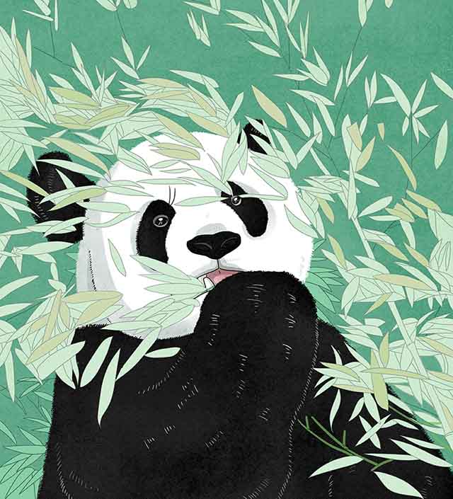 自个模特图