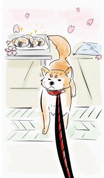 手机壳