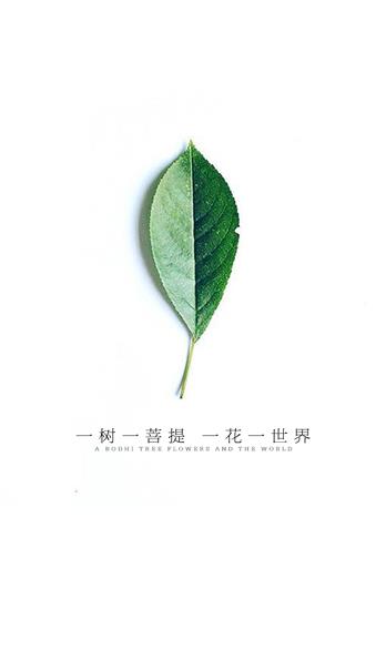 手机壳