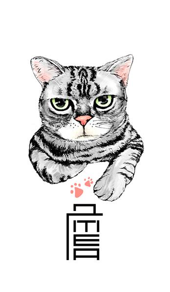 手机壳