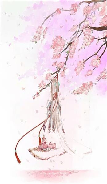 手机壳