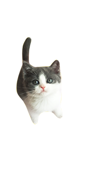帆布袋