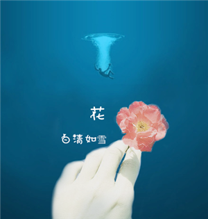T恤