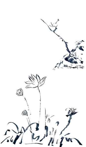 手机壳