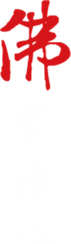 T恤