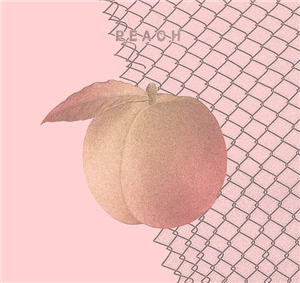 帆布袋