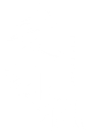 T恤