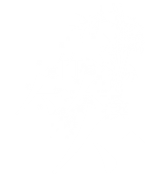 T恤