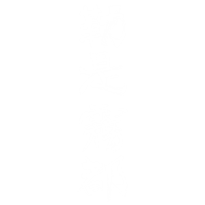 T恤