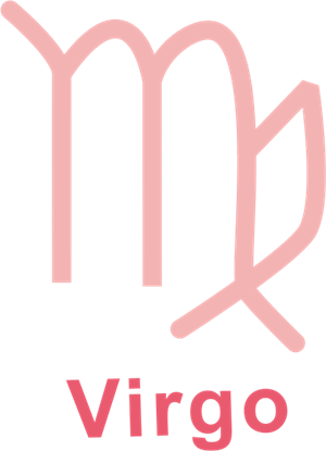 卫衣