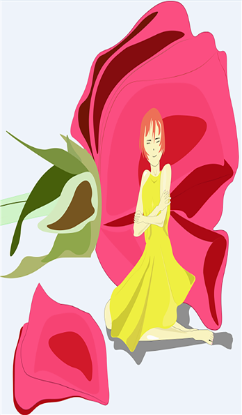 手机壳