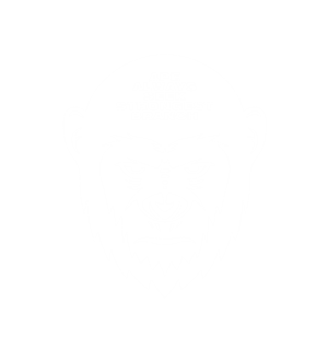 卫衣