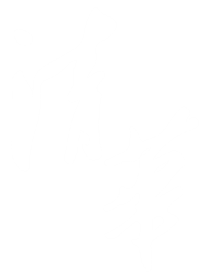 T恤