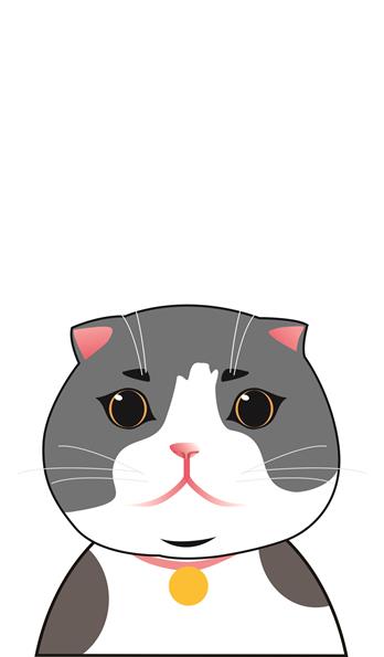 手机壳