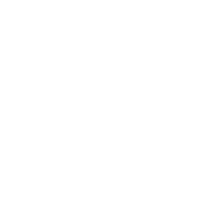 卫衣
