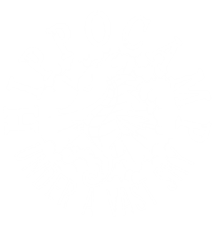 T恤
