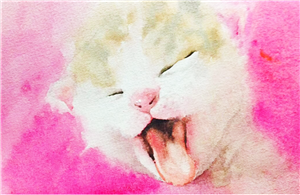 束口袋