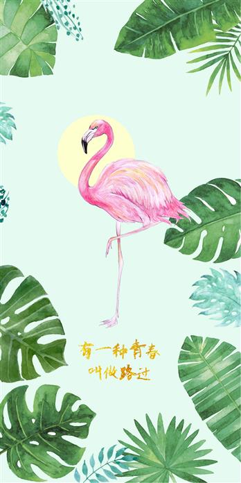 手机壳
