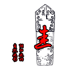 T恤