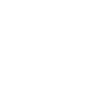 T恤