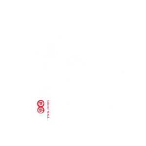 T恤