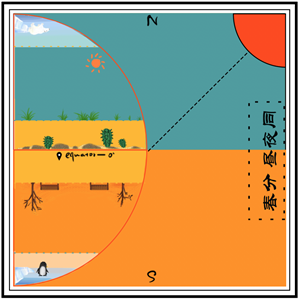 帆布袋