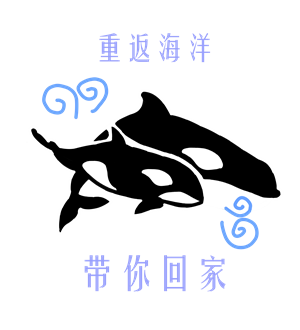 T恤