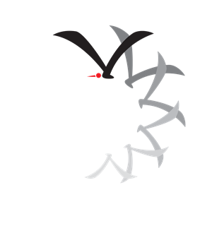 T恤