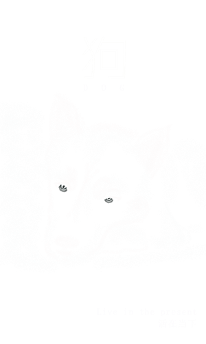 T恤