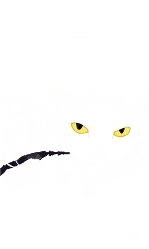 T恤