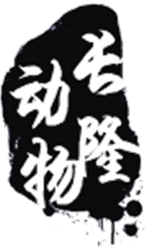 T恤