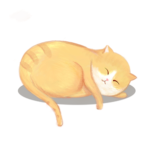 帆布袋