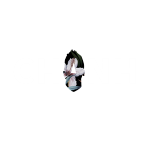 T恤