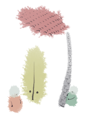 帆布袋