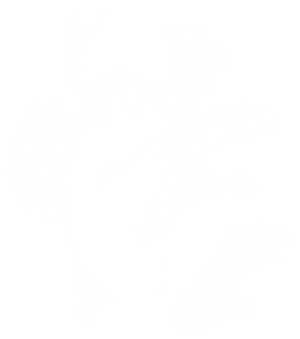卫衣
