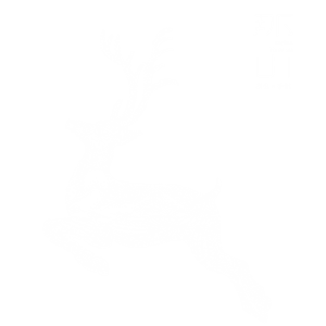 T恤