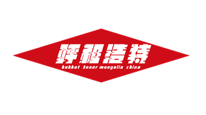 T恤