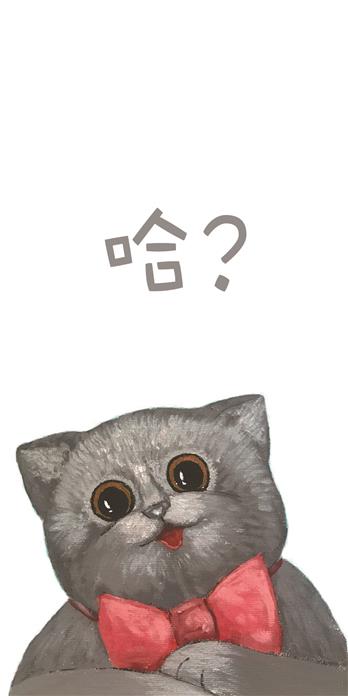 手机壳