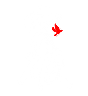 T恤