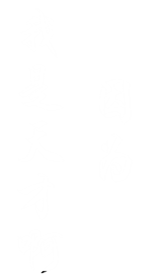 T恤