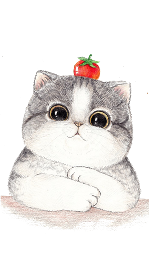 帆布袋