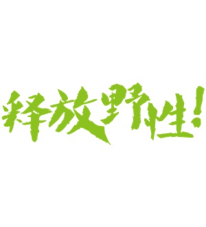 T恤