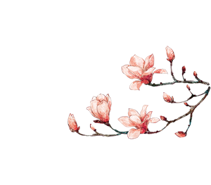 帆布袋