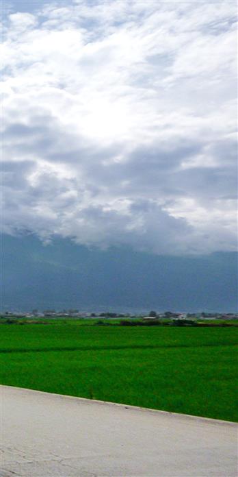 手机壳