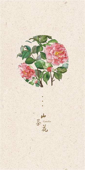 手机壳