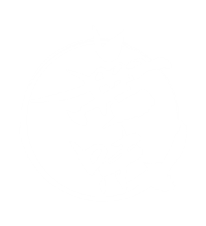 T恤