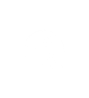 卫衣