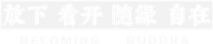 卫衣