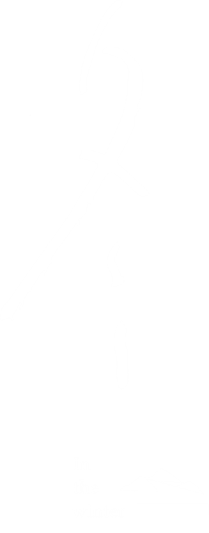 卫衣